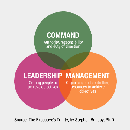 The Executive’s Trinity, by Stephen Bungay