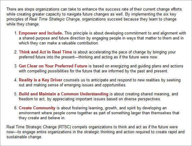 Real Time Strategic Change principles